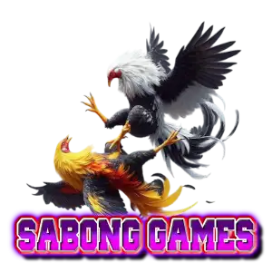 sabong