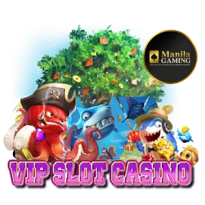 vip slot features